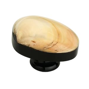 Shell 1-37/50 in. (44 mm) Natural White Cabinet Knob