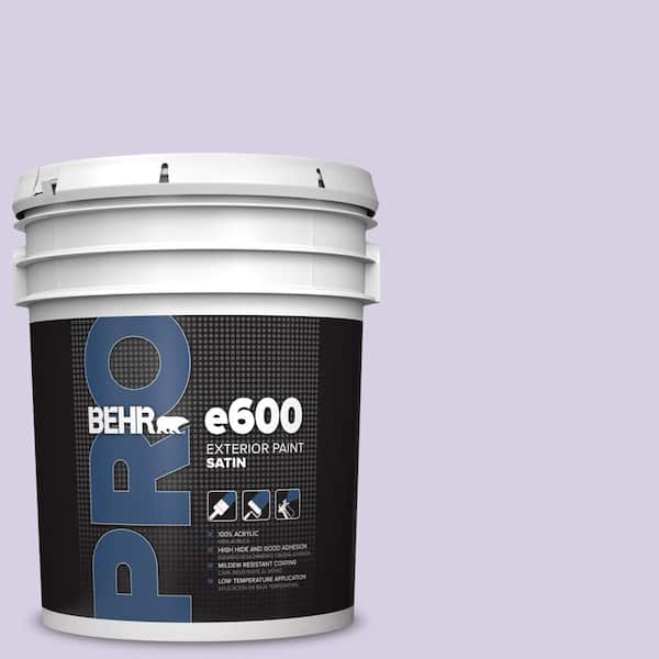 BEHR PRO 5 gal. #M560-2 Fanciful Satin Exterior Paint