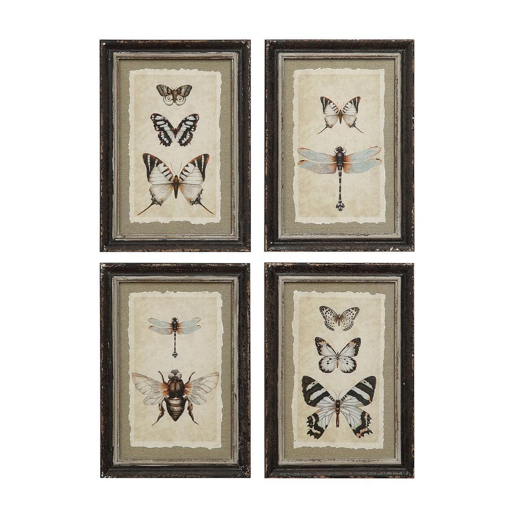 Wood Framed Vintage Insect Prints Set of 4