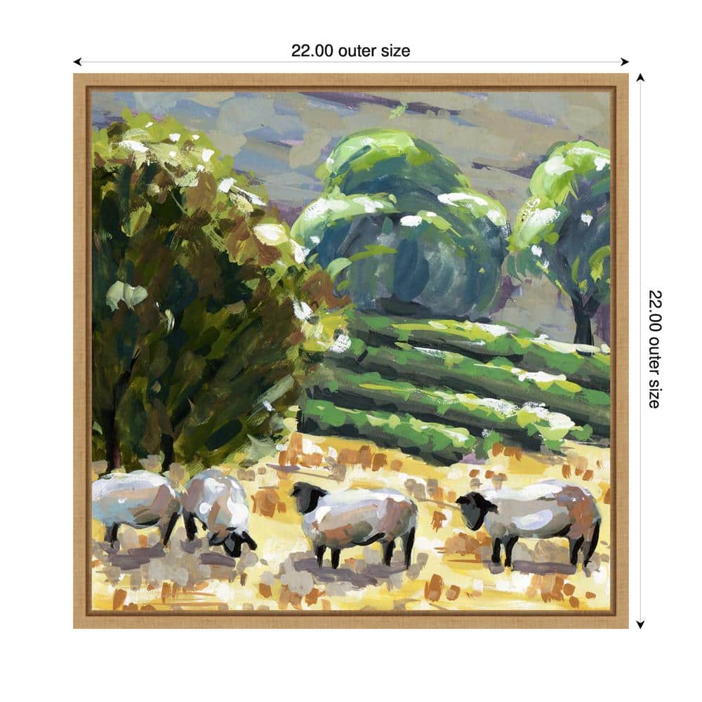 Sheep in Summer I Realism Art Canvas Print with Maple Frame