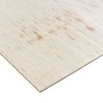 Sande Plywood (Common: 1/4 in. x 2 ft. x 4 ft.; Actual: 0.205 in. x 23.75 in. x 47.75 in.)