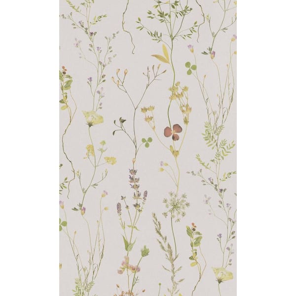 Walls Republic Multicolour Flowers in the Meadows Printed Non-Woven Paper Non-Pasted Textured Wallpaper 57 sq. ft.