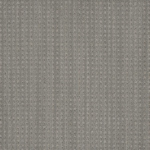 Happy Memory - Sugarloaf - Gray 45 oz. SD Polyester Pattern Installed Carpet