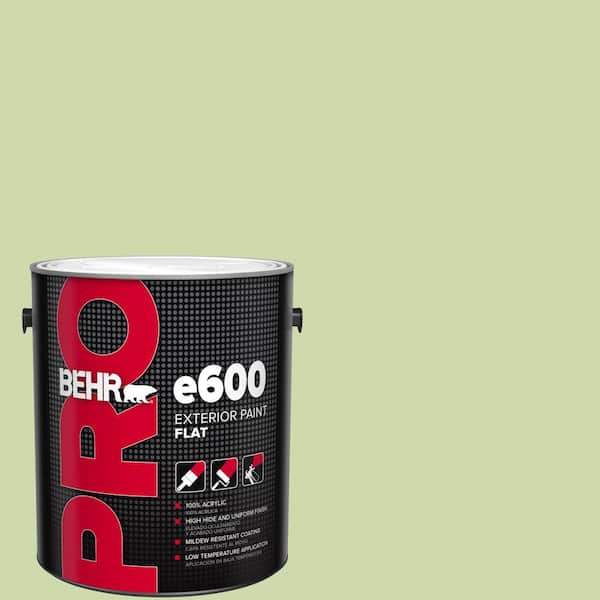 BEHR PRO 1 gal. #P370-3 Chameleon Skin Flat Paint