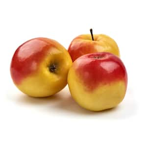 Gala Apple Low Chill Fruit Tree APPGAL01G - The Home Depot