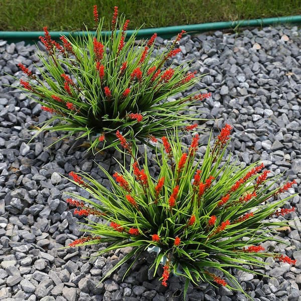 12 Bundles 14.1 in. Green Artificial Monkey Grass with Red Flowers