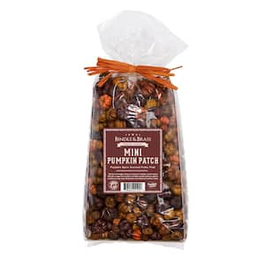 Putka Pods Mini Pumpkin Patch Orange/Brown - Pumpkin Spice (Single)