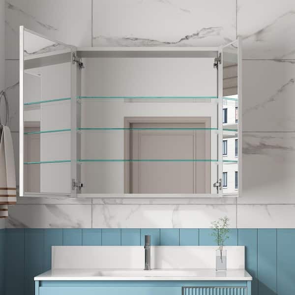 WYonder 30 in. W x 30 in. H Rectangular Aluminum Recessed/Surface Mount Medicine Cabinet with Mirror