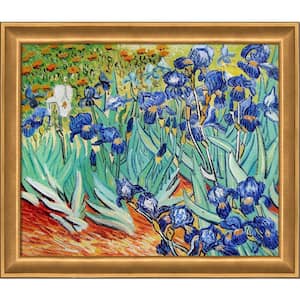 Irises Reproduction by Vincent Van Gogh Muted Gold Glow Framed Nature Oil Painting Art Print 24 in. x 28 in.
