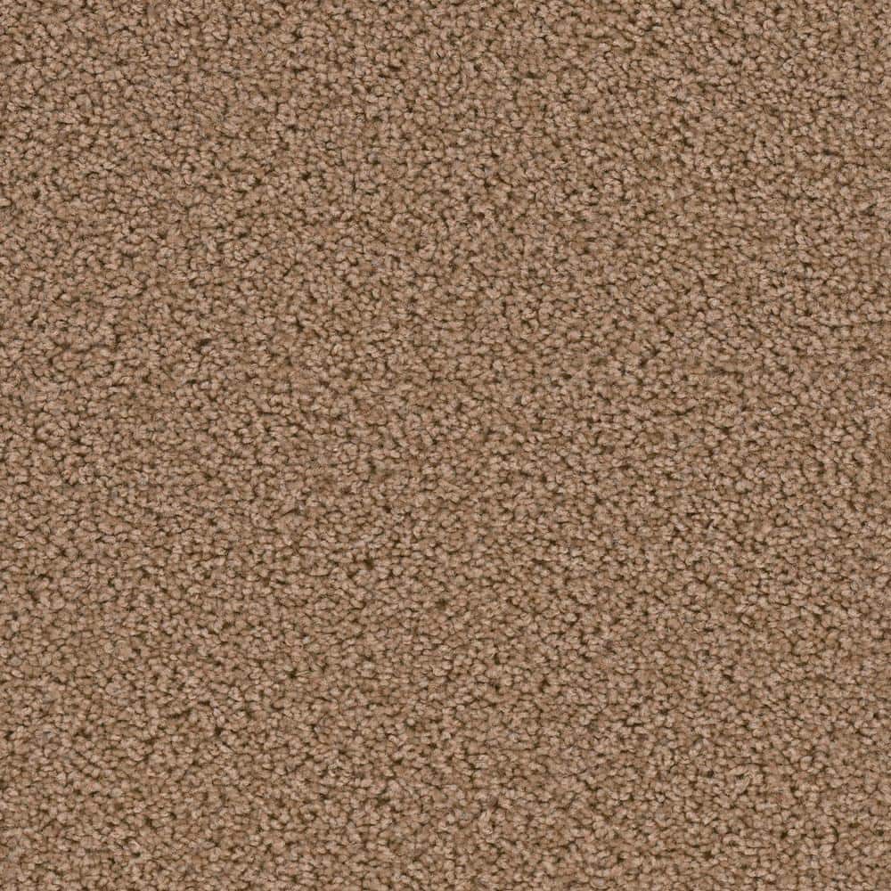 8 in. x  8 in. Texture Carpet Sample - Added Value -Color Magnitude price history on PriceWatchPro