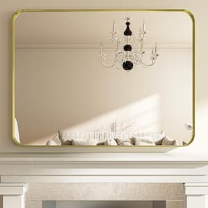 48 in. W x 36 in. H Modern Gold Aluminum Framed Rounded Wall Mount Mirror