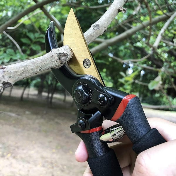 8 in. Professional Premium Titanium Bypass Pruning Shears, Lopper