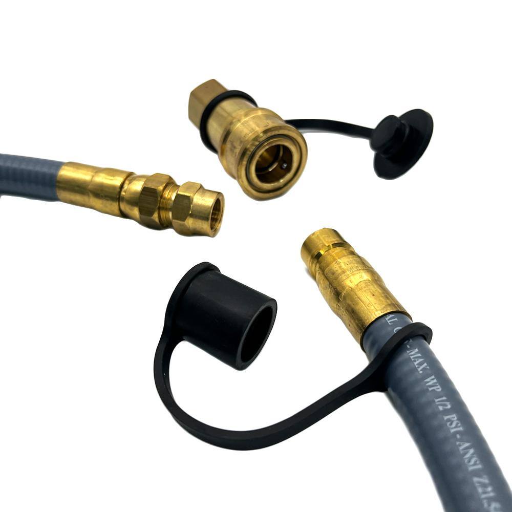 Gray Natural Gas Hose and Regulator Conversion Kit