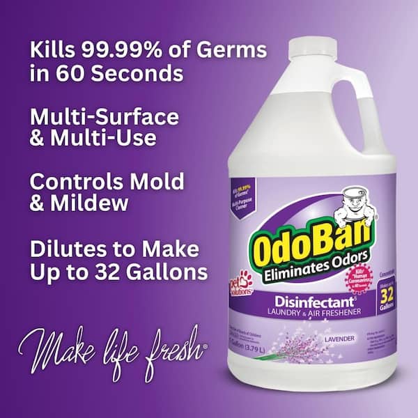 1 Gal. Lavender Disinfectant and Odor Eliminator, Fabric Freshener, Multi-Purpose Cleaner Concentrate (4-Pack)