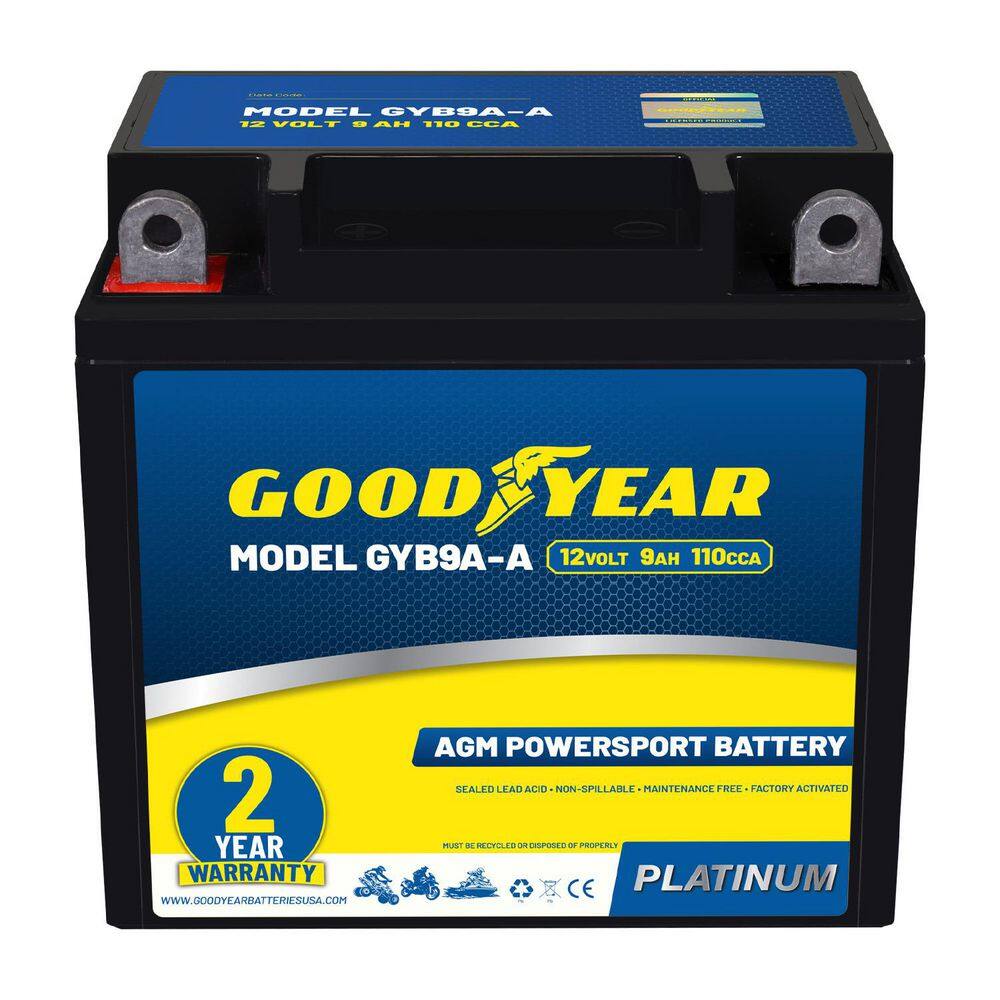 GYB9A-A-12-Volt 9 AH, 110 CCA, Rechargeable High-Performance, Maintenance Free, SLA AGM Battery for Motorcycle, ATV price history on PriceWatchPro
