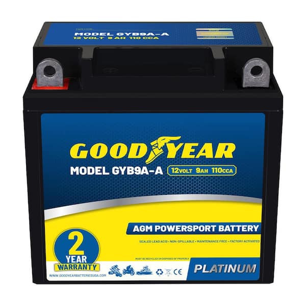 GYB9A-A-12-Volt 9 AH, 110 CCA, Rechargeable High-Performance, Maintenance Free, SLA AGM Battery for Motorcycle, ATV