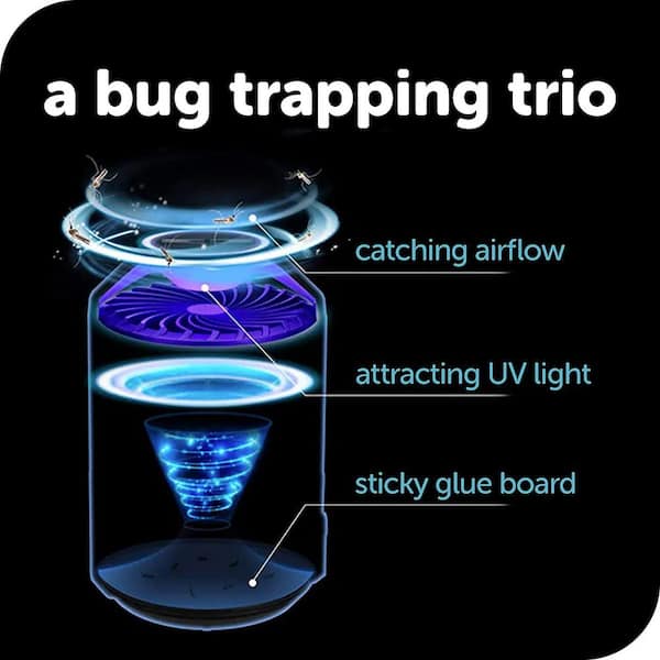 Bug catcher: Save more than 50% on this indoor insect trap at