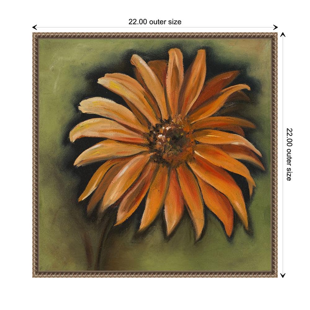 Daisy Collections III Bronze Framed Canvas Wall Art
