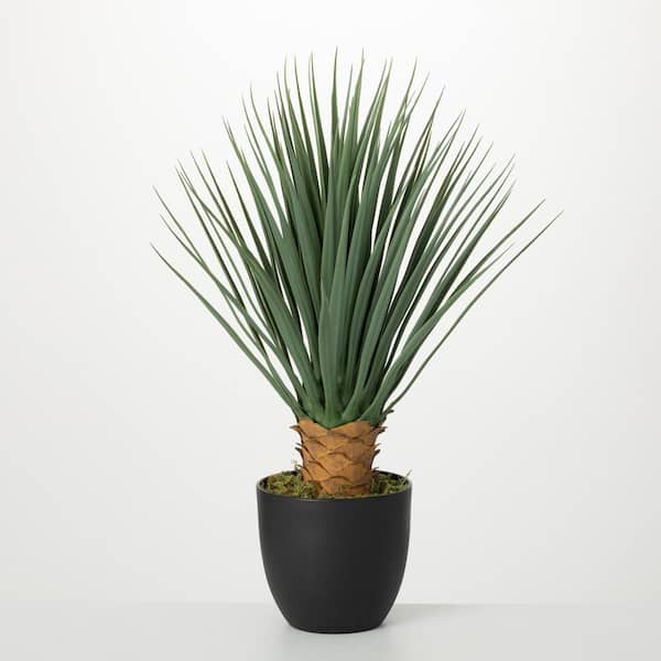 SULLIVANS 25 in. Artificial Potted Dracaena Plant; Green
