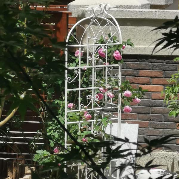 71 in. Height Metal Garden Rustproof Trellis Outdoor Flower Support for Climbing Plants in White (4 Pack)