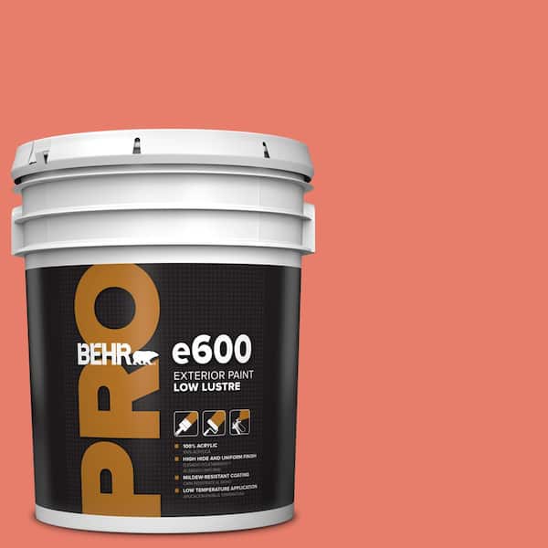 BEHR PRO 5 gal. #HDC-SM14-12 Cosmic Coral Low Luster Exterior Paint