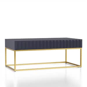Kapulet 47.75 in. Antique Blue and Gold Rectangle Wood Top Coffee Table