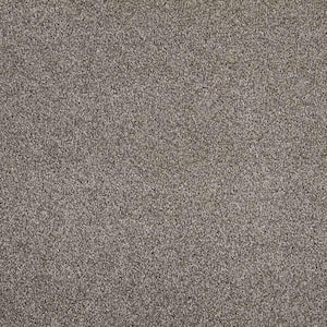 Phenomenal I  - Homestead - Gray 48.3 oz. Triexta Texture Installed Carpet