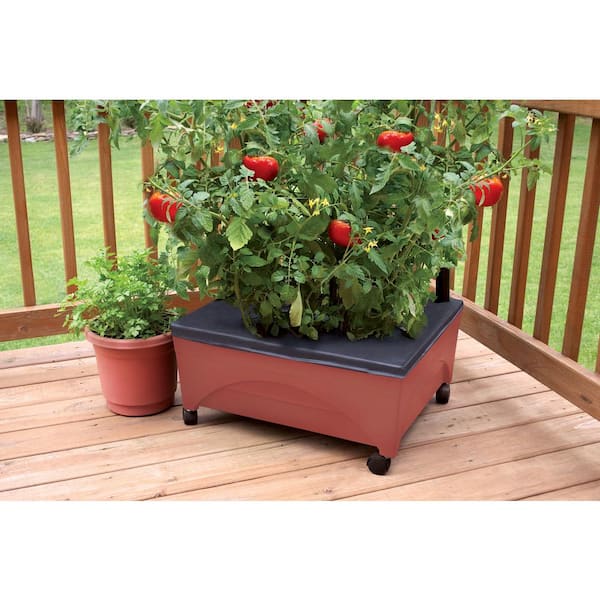 CITY PICKERS - 24.5 in. x 20.5 in. Patio Raised Garden Bed Grow Box Kit with Watering System and Casters in Terra Cotta
