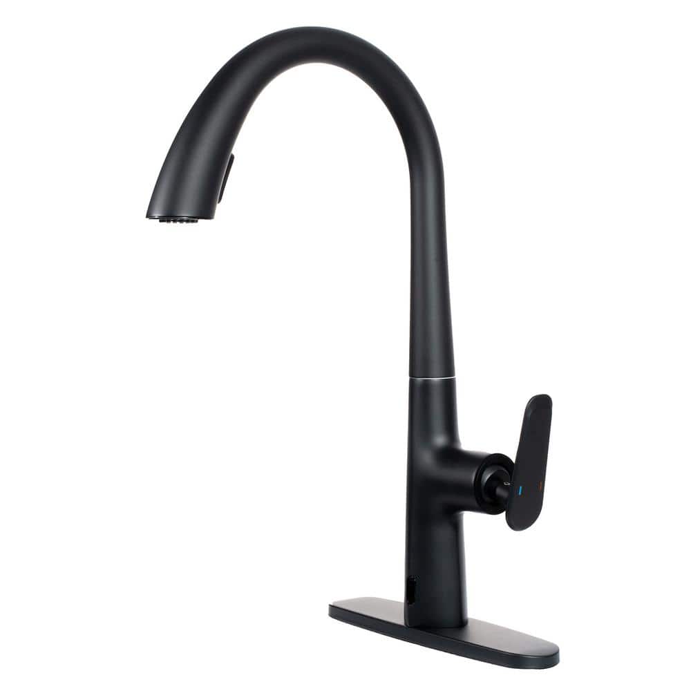 INSTER Single Handle Goose Neck Pull Down Sprayer Kitchen Faucet with