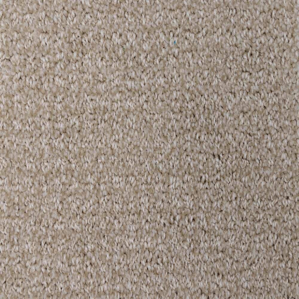 8 in. x  8 in. Pattern Carpet Sample - Tailgate Classic -Color Nash price history on PriceWatchPro