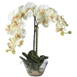 Double Phalaenopsis with Glass Vase Silk Flower Artificial Arrangement