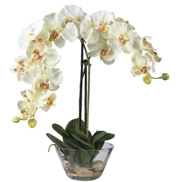 Nearly Natural Double Phalaenopsis with Glass Vase Silk Flower ...