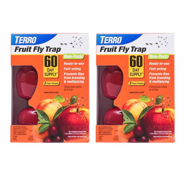 TERRO Fruit Fly Indoor Insect Trap (2-Pack)