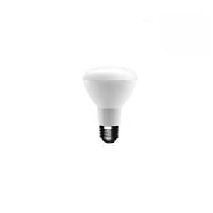 50-Watt Equivalent BR20 Dimmable LED Light Bulb Soft White (24-Pack)