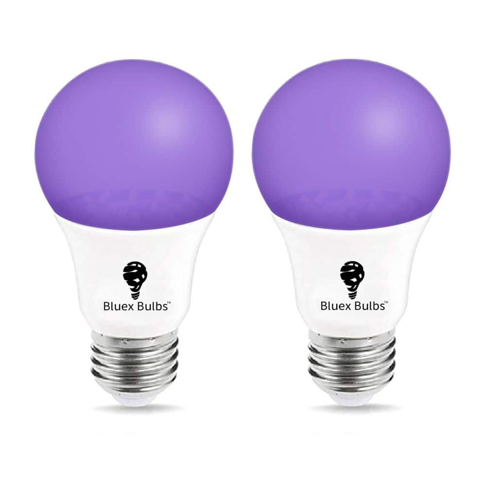 75-Watt Equivalent A19 Decorative Indoor/Outdoor LED Light Bulb in Black (2-Pack) price history on PriceWatchPro