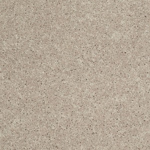 Palmdale I - Coastal Beige - 17.6 oz. Polyester Texture Installed Carpet