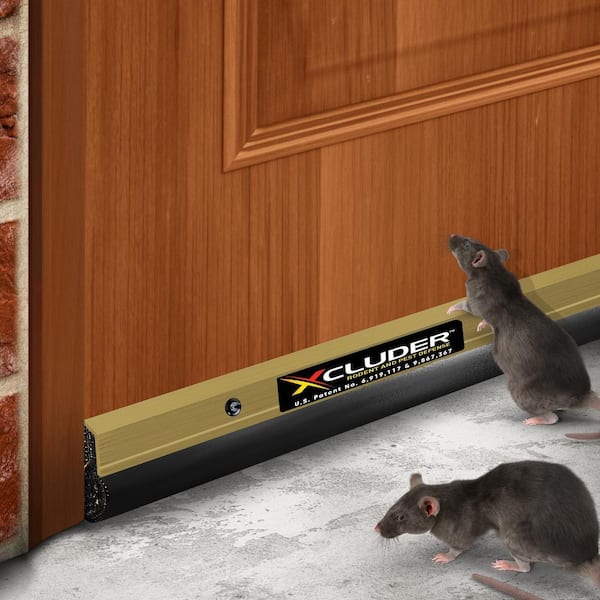 Xcluder 36 in. Residential Rodent Proof Door Sweep, Gold