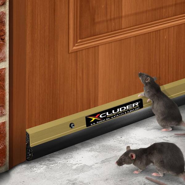 Xcluder 48 in. Residential Rodent Proof Door Sweep, Gold