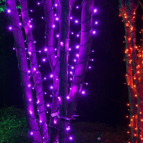 pink and purple outdoor christmas lights