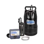 Basement Watchdog 1/3 HP Cast Iron Submersible Sump Pump with Top ...