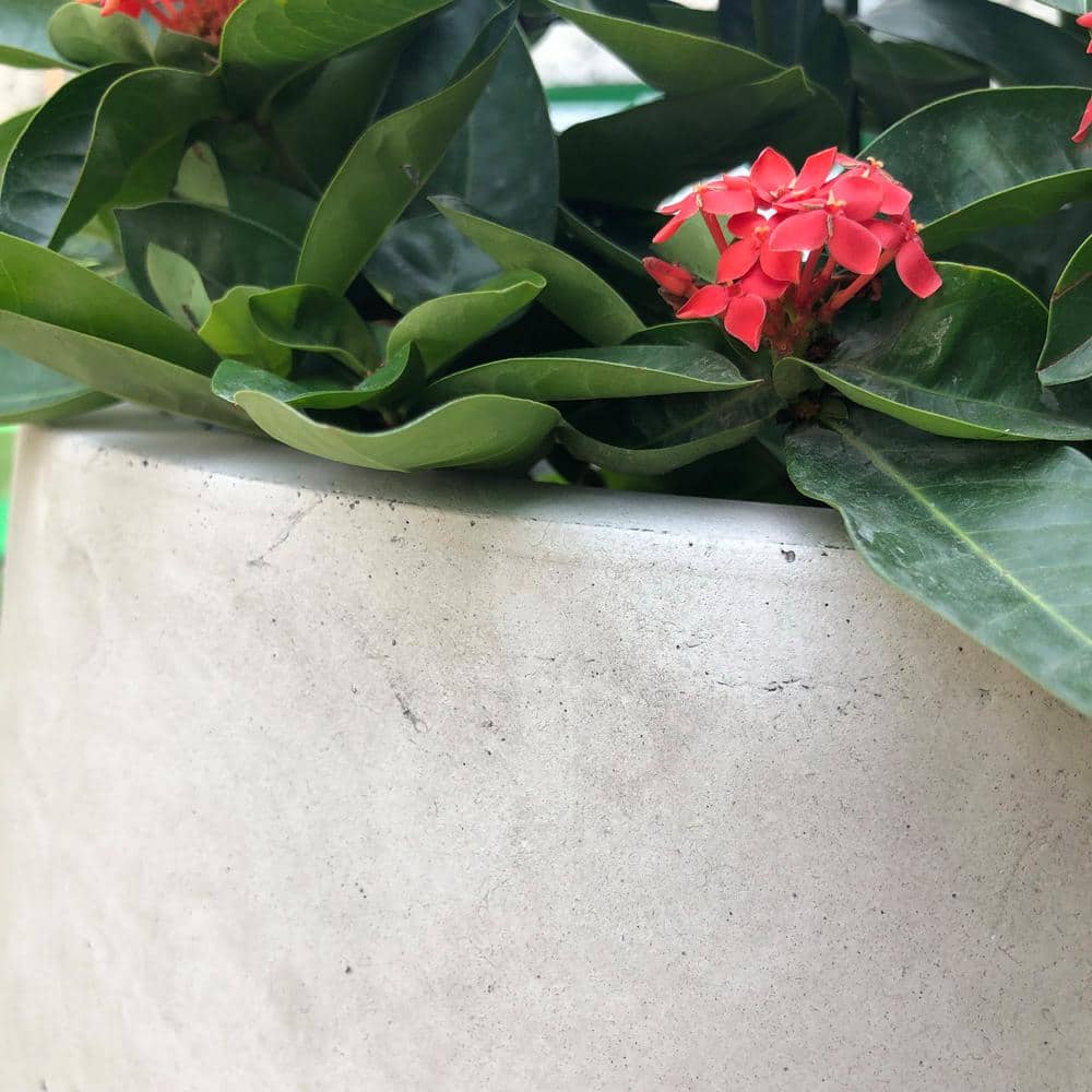 Modern Weathered Concrete Round Planter, 18"x18"x17"