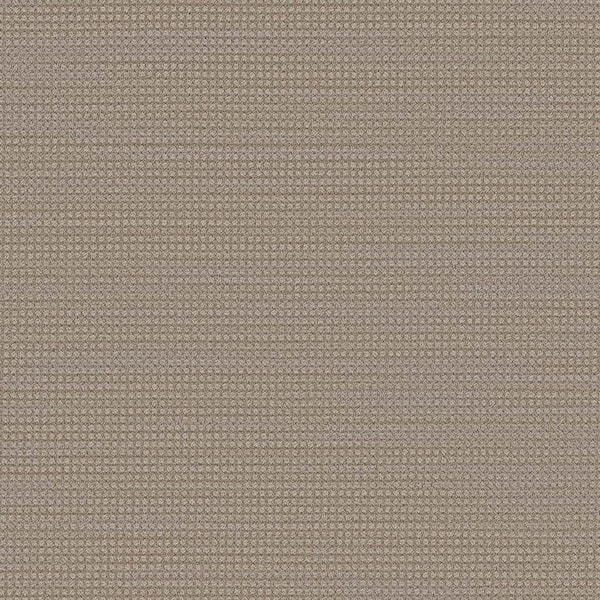 Thornbrook - Jazz - Beige 45 oz. TwistX SD PET Loop Installed Carpet