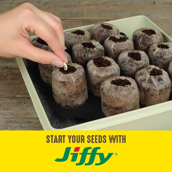 Ferry-Morse Tomato Celebration Hybrid Pelleted Fruit Seed 9558