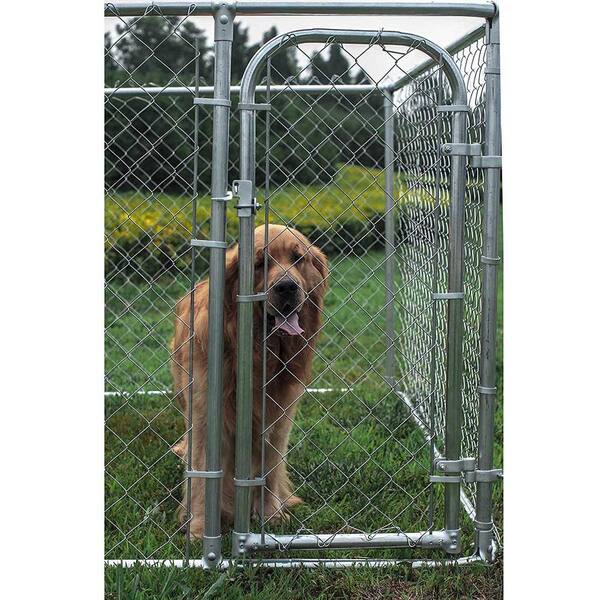 dog run cage