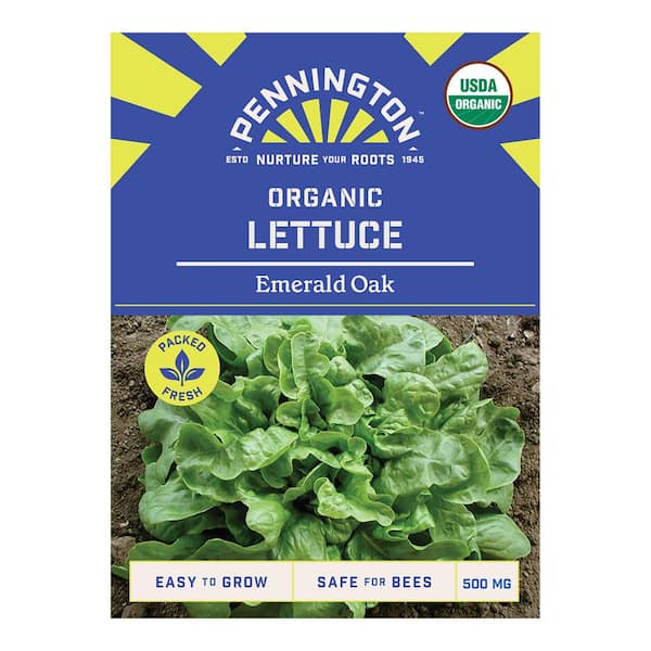 Organic Emerald Oak Lettuce Vegetable Seeds