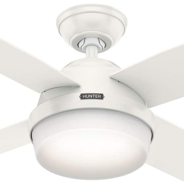 Hunter Dempsey 44 in. Fresh White Indoor Ceiling Fan with LED