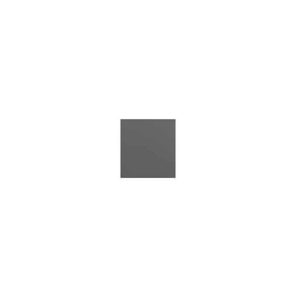 Unbranded Cumberland Recessed 0.25 in. W x 30 in. H x 14.25 in. D in Painted Stratus End Panel in Assembled Wall Cabinet