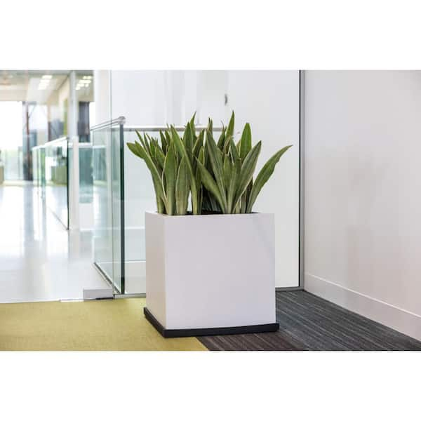 Extra Large White Planter