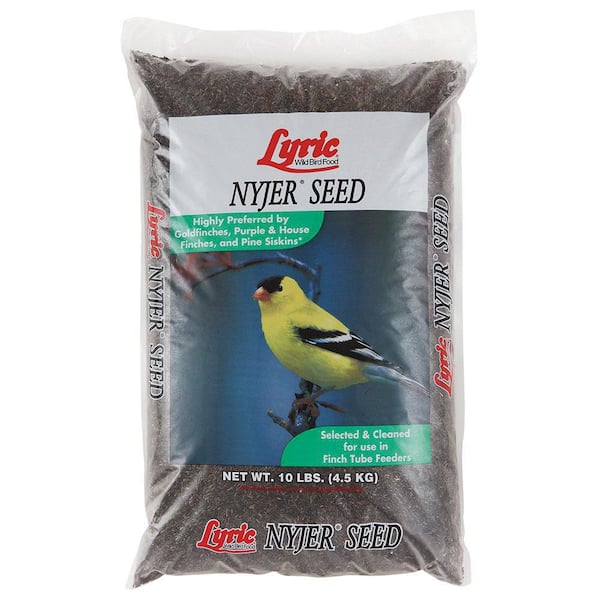 nyjer seed feeder home depot