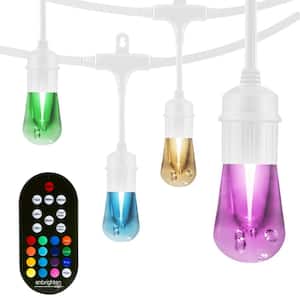 12 Bulb 24 ft. Outdoor/Indoor White Vintage Color Changing LED String Lights with Remote, Acrylic Edison Bulbs